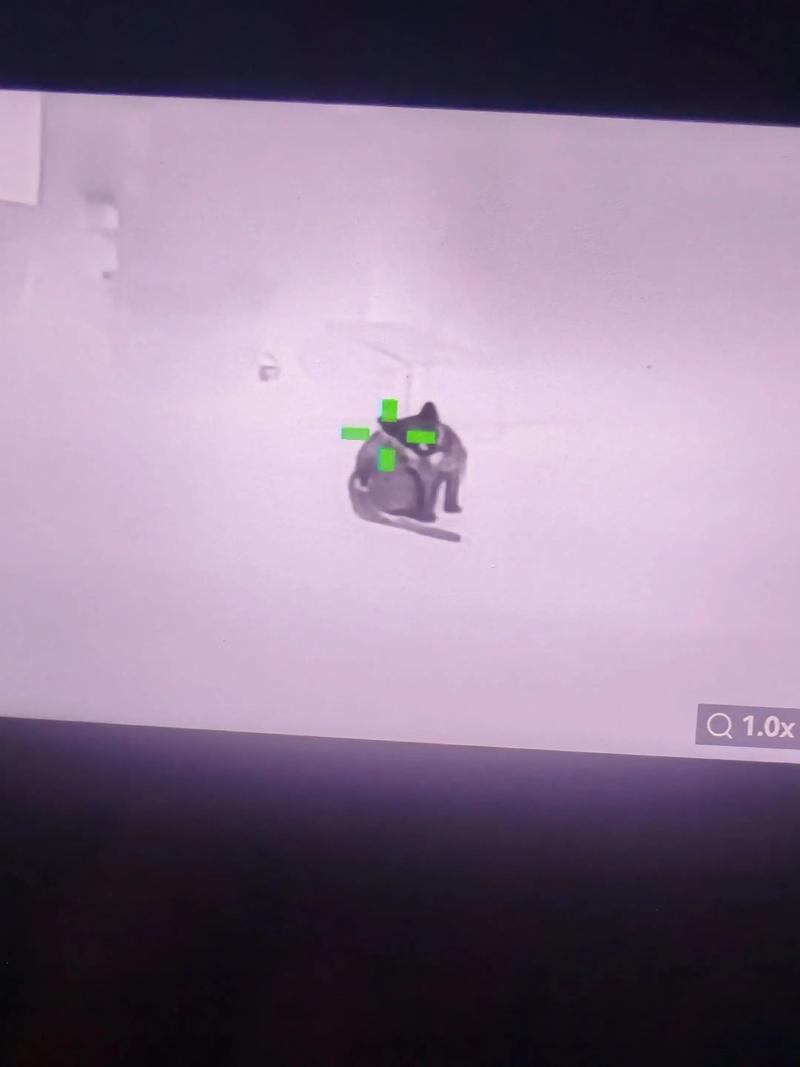 熟的猕猴桃可以放冰箱吗